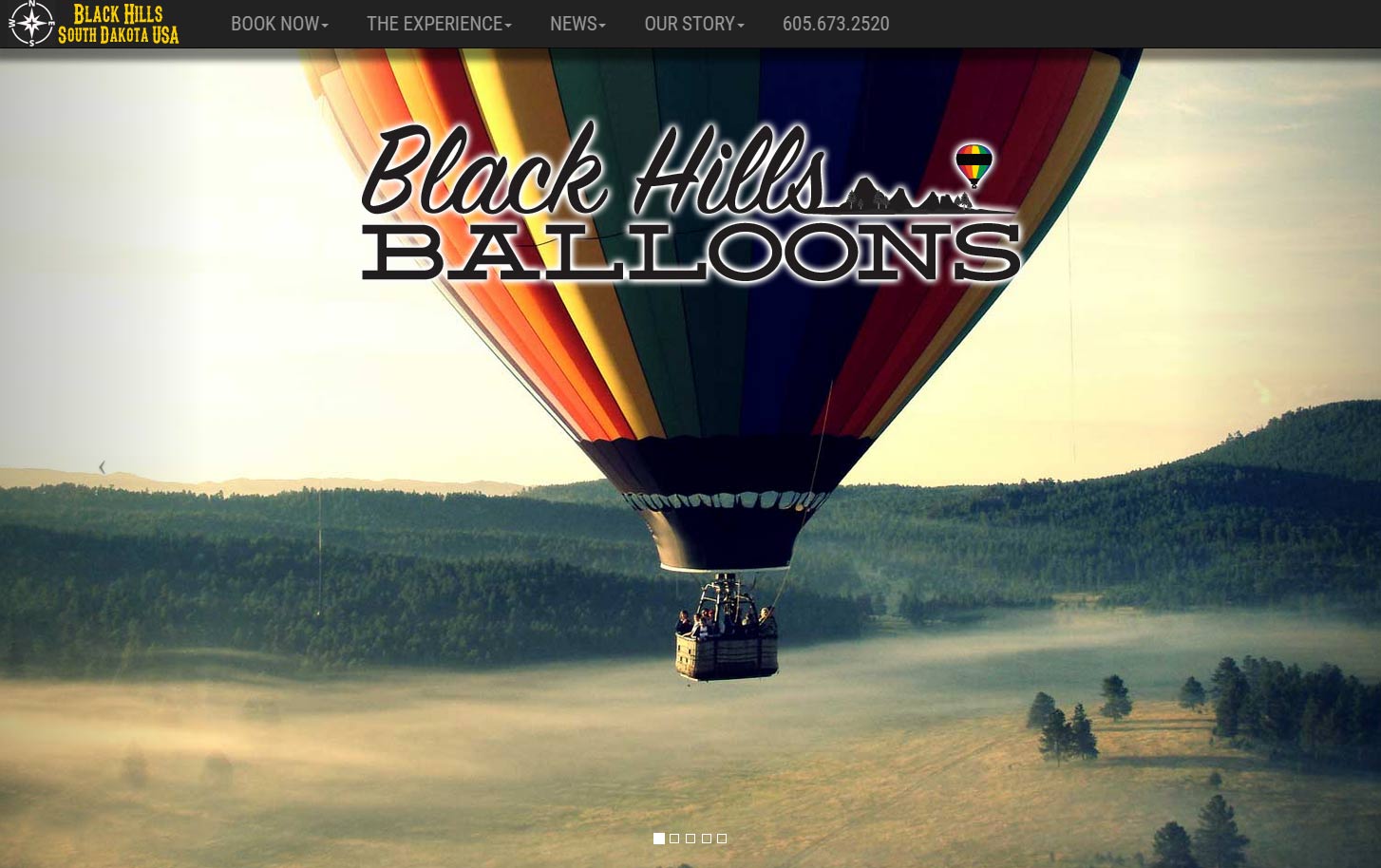 graphical interface, Computer Repair Orlando, custom reservation system, booking, hot air balloon rides, web development